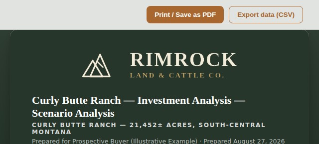Scenario analysis report preview
